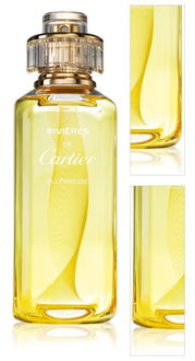 Cartier Rivières de Cartier Allégresse toaletná voda pre ženy 100 ml 3