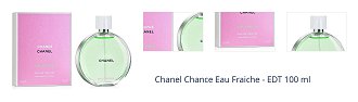 Chanel Chance Eau Fraiche - EDT 100 ml 1