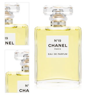 Chanel N°19 parfumovaná voda s rozprašovačom pre ženy 100 ml 4