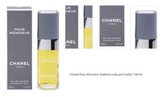 Chanel Pour Monsieur toaletná voda pre mužov 100 ml 1