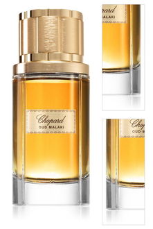 Chopard Oud Malaki parfumovaná voda pre mužov 80 ml 3