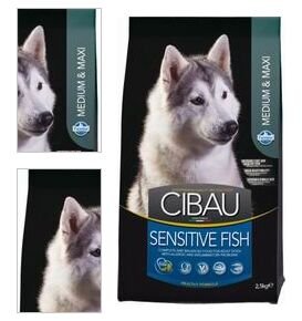 CIBAU SENSITIVE FISH/rice MEDIUM/MAXI - 12kg 4