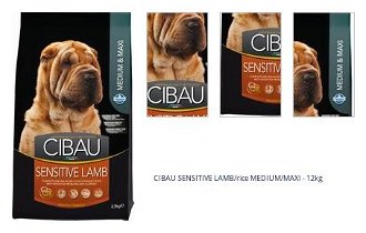 CIBAU SENSITIVE LAMB/rice MEDIUM/MAXI - 12kg 1