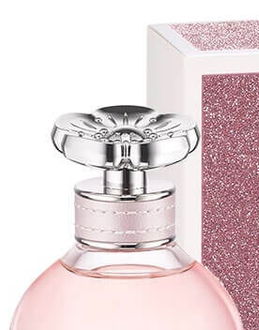 Coach Coach Dreams - EDP - TESTER 90 ml 6