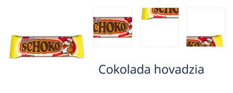 Cokolada hovadzia 1