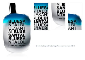 Comme des Garçons Blue Santal parfumovaná voda unisex 100 ml 1