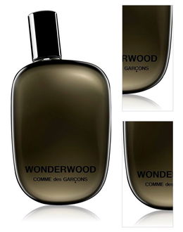 Comme des Garçons Wonderwood parfumovaná voda pre mužov 50 ml 3