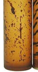 Cuba Jungle Tiger - EDP 100 ml 8