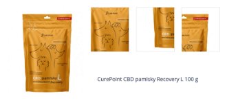 CurePoint CBD pamlsky Recovery L 100 g 1