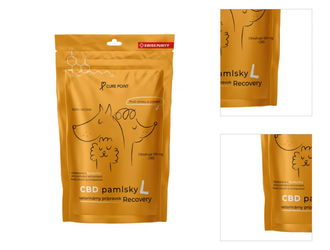 CurePoint CBD pamlsky Recovery L 100 g 3