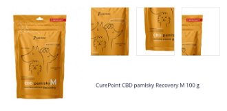 CurePoint CBD pamlsky Recovery M 100 g 1