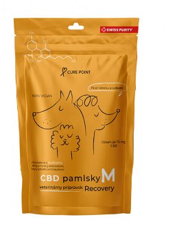 CurePoint CBD pamlsky Recovery M 100 g