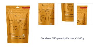 CurePoint CBD pamlsky Recovery S 100 g 1