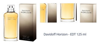 Davidoff Horizon - EDT 125 ml 1