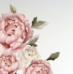 DEKORACJAN Nálepka na stenu - kvety Pivonky staroružové Velikost: M, laminát: žádný 7