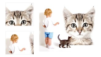 Samolepka na stenu - mačička veľkosť: XL 4