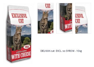DELIKAN cat  EXCL. so SYROM - 10kg 1