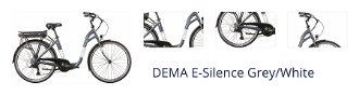 DEMA E-Silence Sunrace RDM41 8SPD 1x7 Grey/White 1