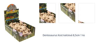 Dentosaurus Kost kalciová 8,5cm 1 ks 1