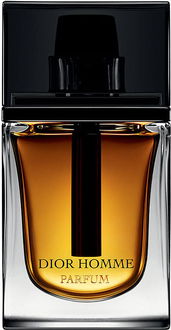 Dior Dior Homme Parfum - P 100 ml