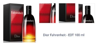 Dior Fahrenheit - EDT 100 ml 1
