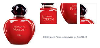 DIOR Hypnotic Poison toaletná voda pre ženy 100 ml 1