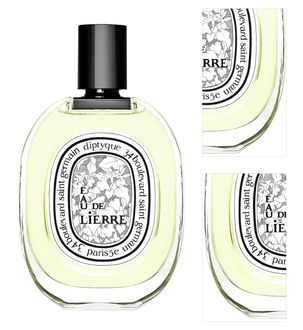 Diptyque Eau De Lierre - EDT 100 ml 3