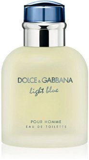 Dolce&Gabbana Light Blue Pour Homme toaletná voda pre mužov 75 ml