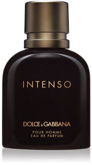 Dolce&Gabbana Pour Homme Intenso parfumovaná voda pre mužov 75 ml 2