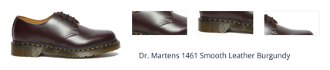 Dr. Martens 1461 Smooth Leather Burgundy 1