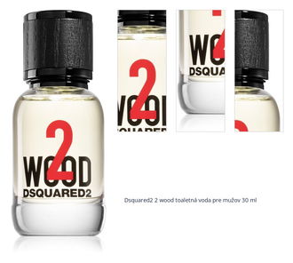 Dsquared2 2 wood toaletná voda pre mužov 30 ml 1