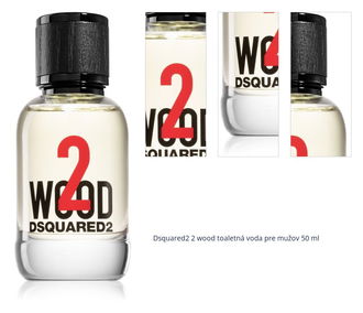 Dsquared2 2 wood toaletná voda pre mužov 50 ml 1