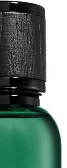 Dsquared2 Green Wood toaletná voda pre mužov 30 ml 7