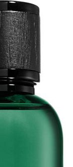 Dsquared2 Green Wood toaletná voda pre mužov 50 ml 7