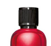 Dsquared² Red Wood - EDT 100 ml 7