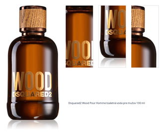 Dsquared2 Wood Pour Homme toaletná voda pre mužov 100 ml 1