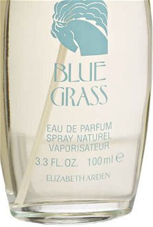 Elizabeth Arden Blue Grass - EDP 100 ml 9