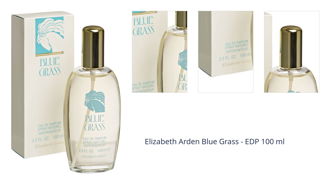Elizabeth Arden Blue Grass - EDP 100 ml 1