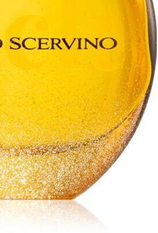 Ermanno Scervino Rock parfumovaná voda pre ženy 100 ml 9