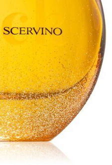 Ermanno Scervino Rock parfumovaná voda pre ženy 50 ml 9