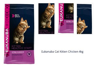 Eukanuba Cat Kitten Chicken 4kg 1