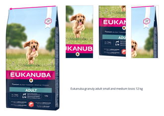 Eukanuba granuly adult small and medium losos 12 kg 1