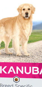 Eukanuba granuly Golden Retriever 12kg 5