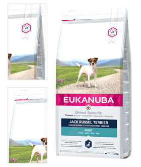 Eukanuba granuly Jack Russell 2kg 4