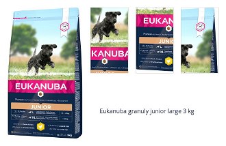 Eukanuba granuly junior large 3 kg 1
