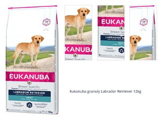 Eukanuba granuly Labrador Retriever 12kg 1