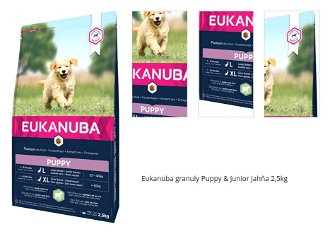 Eukanuba granuly Puppy & Junior jahňa 2,5kg 1