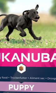 Eukanuba granuly Puppy Large 3kg 5