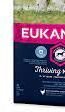 Eukanuba MATURE/SENIOR medium - 15kg 8