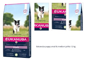 Eukanuba puppy small & medium jahňa 12 kg 1